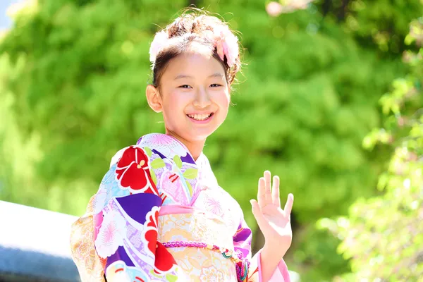 成人記念 境内の四季